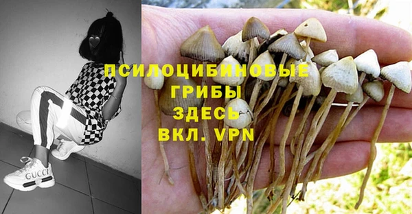 дурь Абинск