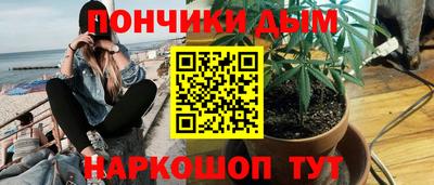 шишки Кимры