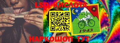 шишки Кимры