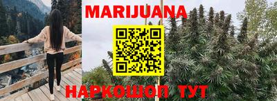 шишки Кимры