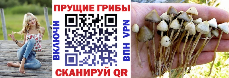Псилоцибиновые грибы Magic Shrooms цена Костомукша
