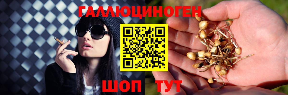 Псилоцибиновые грибы мицелий  Вход с VPN  дарнет шоп  Костомукша 