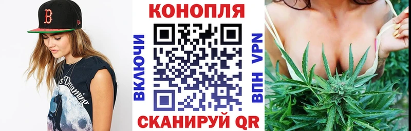 Шишки марихуана конопля Костомукша
